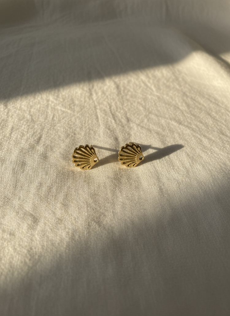 Seashell Studs