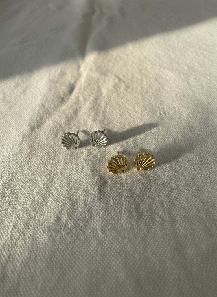 Seashell Studs