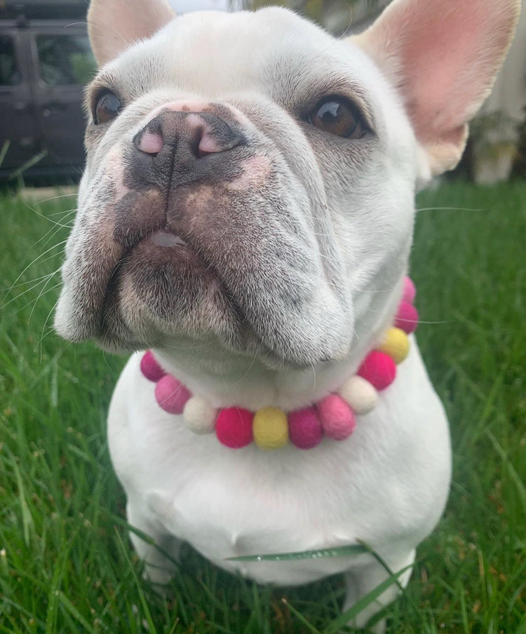 Made to Order Dog Necklace