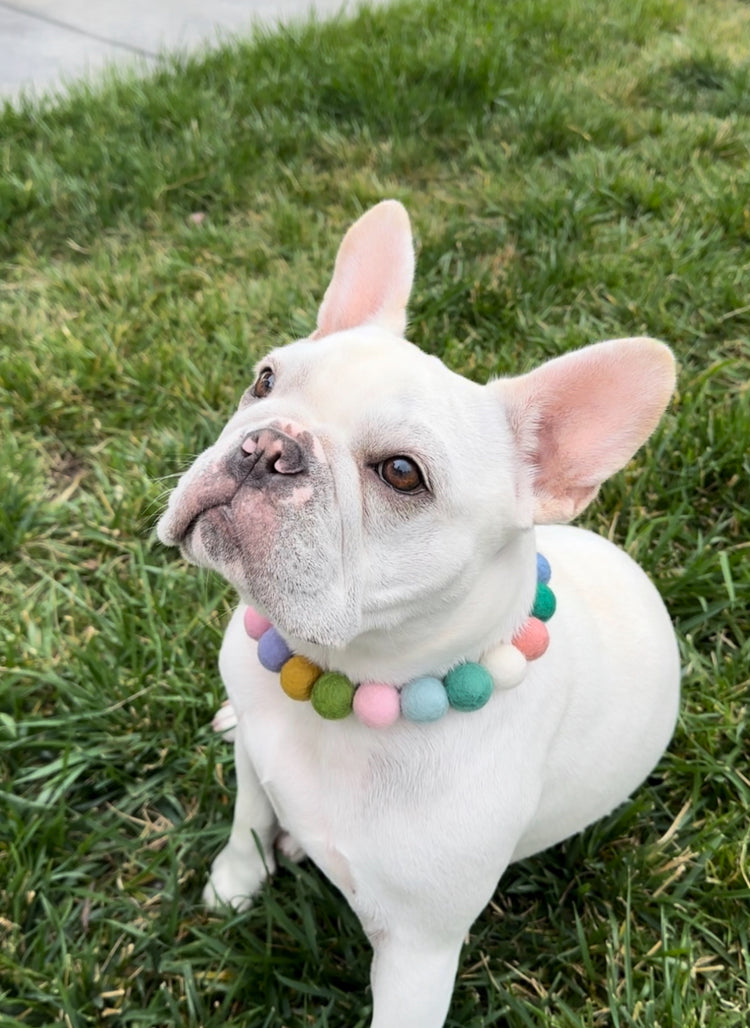 Made to Order Dog Necklace