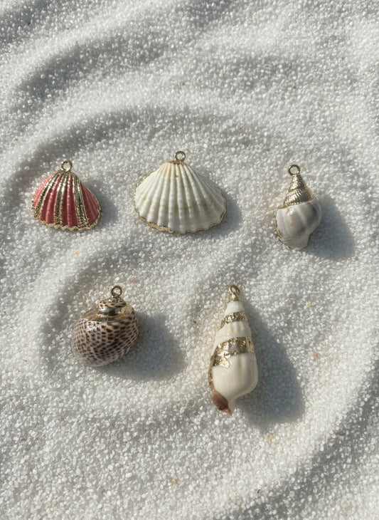 Seashell Charm with Gold Trim