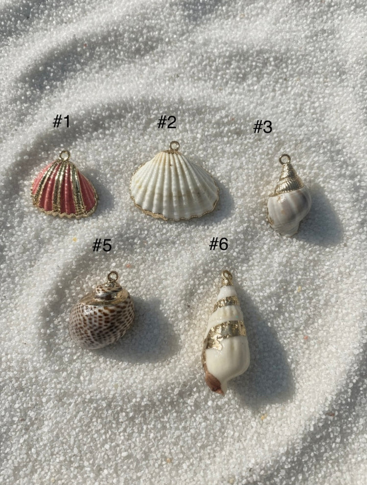 Seashell Charm with Gold Trim